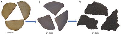 Widely Targeted Metabolomics Analysis to Reveal Transformation Mechanism of Cistanche Deserticola Active Compounds During Steaming and Drying Processes